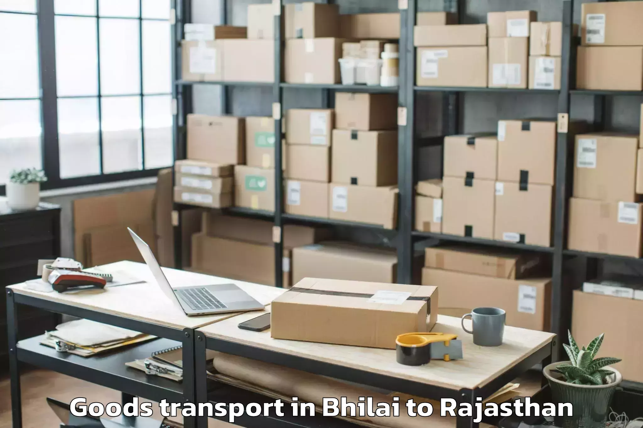 Leading Bhilai to Karauli Goods Transport Provider